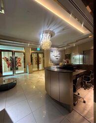 Furama Riverfront (D3), Retail #606325851